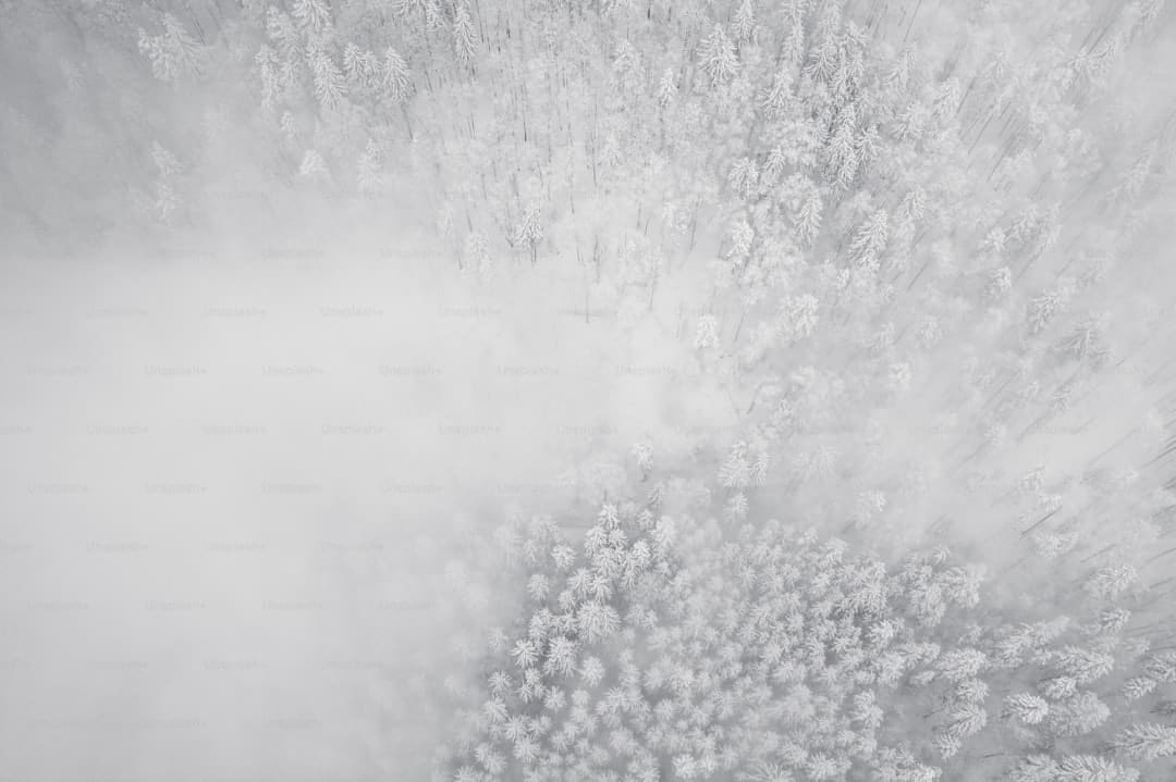 偏头痛是心脏出了问题 需警惕心脏隐患
